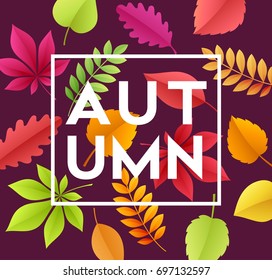 Autumn banner background with paper fall leaves. Vector illustration EPS10