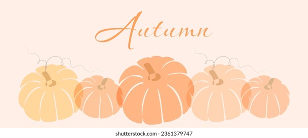 Autumn banner background with pumpkins in various sizes and colors. Seasonal fall banner design for postcards, greeting or promotion. Autumn concept and vegetable compositions.