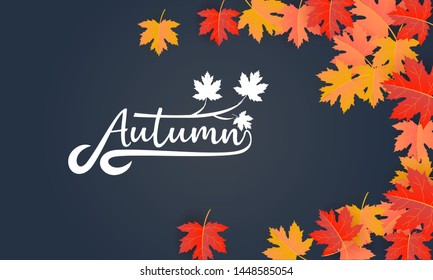 autumn banner background vector illustration 