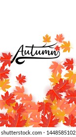 autumn banner background vector illustration 