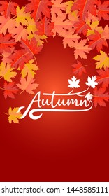 autumn banner background vector illustration 