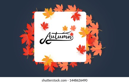 autumn banner background vector illustration