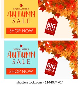 Autumn banner collcetion vector