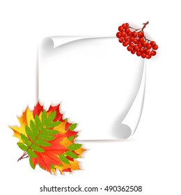 Autumn banner with colorful leaves and rowen with paper for copy space isolated on white background for seasonal sale or congratulations banner. Cartoon vector illustration.