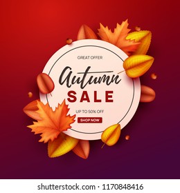 Autumn banner with colorful leaves. Vector illustration.