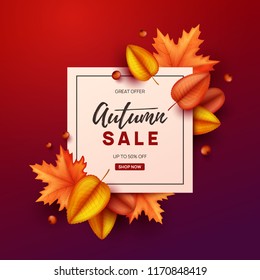 Autumn banner with colorful leaves. Vector illustration.