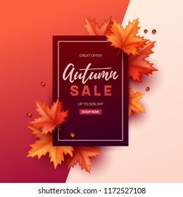 Autumn banner with colorful leaves. Vector illustration.