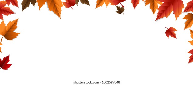 Autumn Banner With Colorful Leaves White Background With Gradient Mesh, Vector Illustration