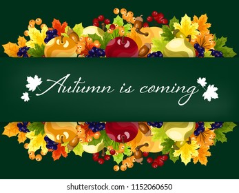 Autumn banner of Autumn is coming text frame decorated with apples, autumn maple leaves, acorns and berry branches on a green background. Vector illustration.