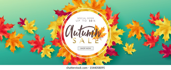 Autumn banner concept. Autumn sale discount marketing design layout. Maple theme design on green gradient background. Vector illustration template.