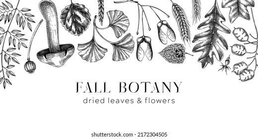 Autumn banner with fallen leaves and dried flowers. Sketched botanical border template. Hand-drawn dried herbs, fall leaves, mushrooms, and fruit illustration. Black and white Thanksgiving background.