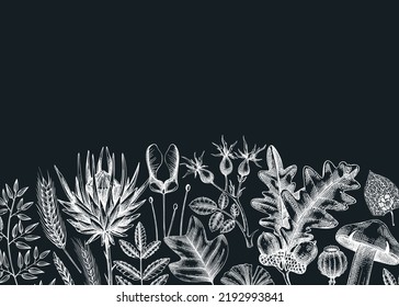 Autumn banner with fallen leaves and dried flowers. Botanical border template on chalkboard. Hand-drawn dried herbs, fall leaves, mushrooms, and fruit illustration. Thanksgiving background.
