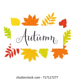 Autumn banner with falling multicolored leaves. Lettering handwritten. Vector flat illustration