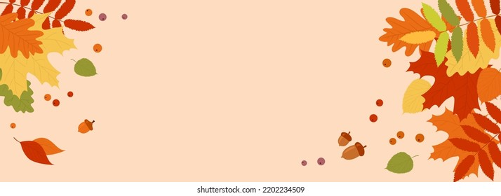 Autumn banner with a frame of multicolored autumn leaves, berries and acorns and with a copy space. Flat vector illustration 