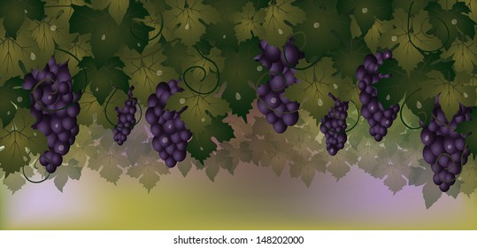 Autumn banner with grapes, vector illustration