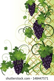 Autumn banner with grapes, vector illustration