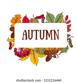 autumn, banner, hand drawing, bright colored leaves, berries and nuts, vector illustration isolated on white background