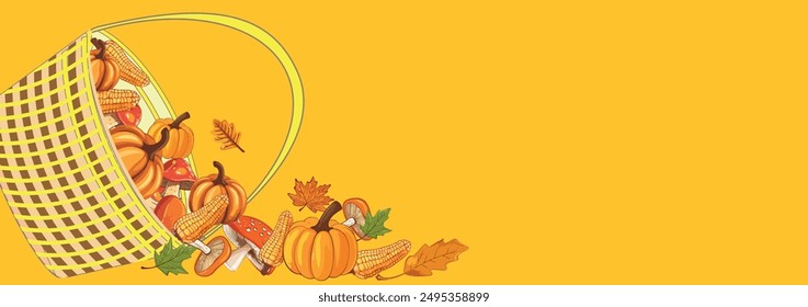 Autumn banner with harvest basket with corn, pumpkin, mushrooms and bright leaves on an orange background. Harvest concept, Thanksgiving Day.