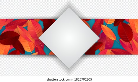 Autumn banner or header with red and orange leaves on blue background. A white square tag with space for text. Vector illustration.