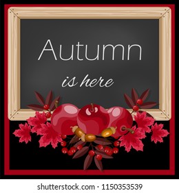 Autumn banner of Autumn is here text on chalkboard decorated with apples, red maple leaves, acorns and berry branches on black background with red frame. Vector illustration.