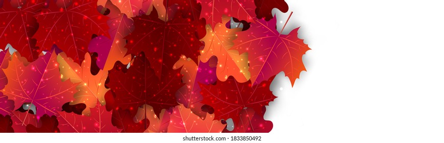 Autumn banner. Horizontal header with red and orange maple leaves and glowing sparkles. Vector illustration.