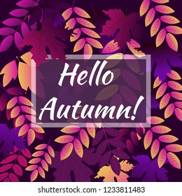 Autumn banner with the inscription Hello autumn leaf background of seamless texture of colorful autumn leave vector illustration. Nature autumnal fall template.