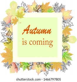 Autumn banner leaves colored background vector poster illustration