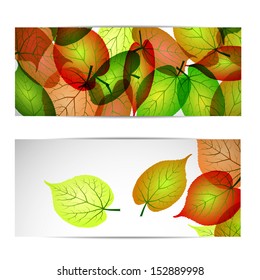 autumn banner with autumn leaves in frames