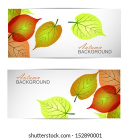 autumn banner with autumn leaves in frames