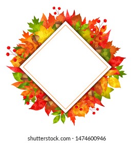 Autumn banner leaves with rectangular paper. vector illustration