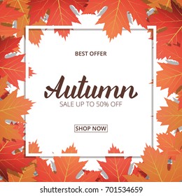 Autumn. Banner with maple leaves frame and trendy Autumn brush lettering. Seasonal Fall sale card