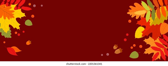 Autumn banner with multicolored leaves, berries and acorns on a red burgundy background with a copy space. Flat vector illustration 