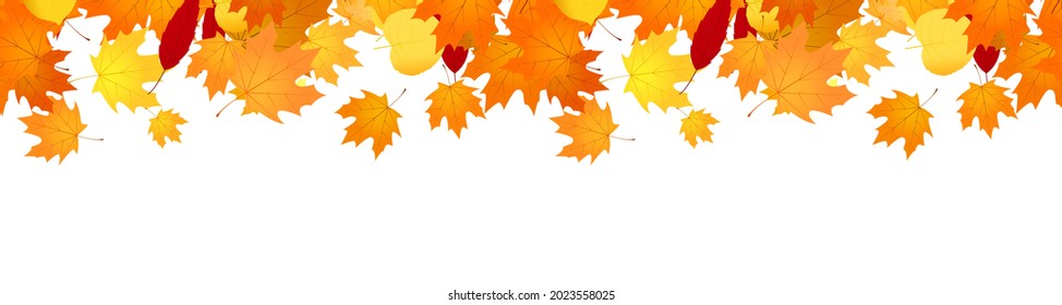Pancarta de otoño con hojas de arce cayendo.