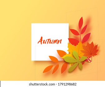 Autumn banner in paper cut style. Square sheet of white paper and paper leaves. Fall leaf cut out of cardboard green yellow and orange colors. Vector card illustration for Thanksgiving day.