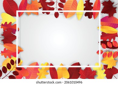 Autumn banner with red and orange leaves . Free empty space for text. Advertisement promo. Realistic vector illustration.