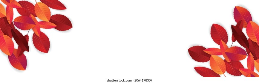 Autumn banner with red and orange leaves. Fall season. Free empty space for text. Advertisement promo. Realistic vector illustration.