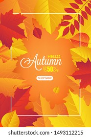 Autumn Banner Sale. Colorful. Vector illustration
