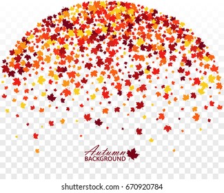 Autumn banner with scattered maple leaves on transparent background. Vector illustration. Isolated