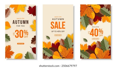 Conjunto de Anuncio de otoño con hojas de otoño. Plantilla de diseño para publicidad, Web, redes sociales, . Ilustración vectorial