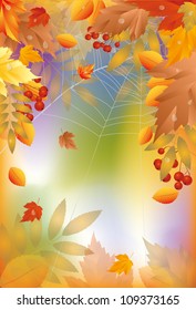 Autumn banner with spider web, vector illustration