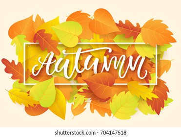 Autumn banner template with bright colorful fall leaves. Seasonal calligraphy. Poster, card, gift tag, label design. Vector illustration