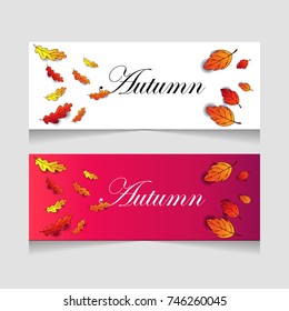 Autumn banner template design with colorful autumn leaf. Autumn banner.