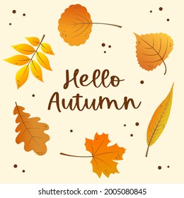 Autumn banner template design with fall golden leaves around the "Hello autumn" text. Vector illustration.