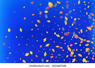 Autumn banner template with leaves on sky background. The concept is suitable for advertising festivals, seasonal promotion of sales and discounts, thanksgiving, web design and print.