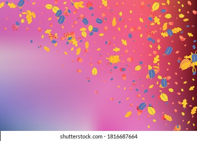 Autumn banner template with leaves on sky background. The concept is suitable for advertising festivals, seasonal promotion of sales and discounts, thanksgiving, web design and print.