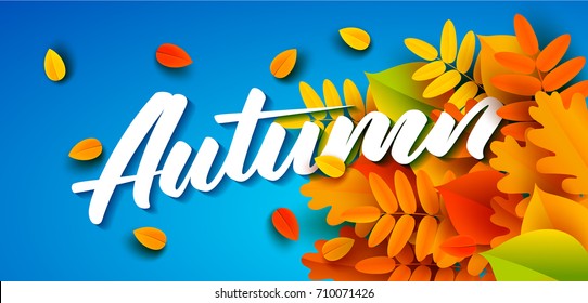 Autumn Banner Template With Lettering. Bright Fall Leaves