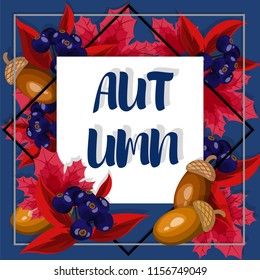 Autumn banner of Autumn text decorated with acorns, berry branches and fall maple leaves in white frame on a blue background. Vector illustration.