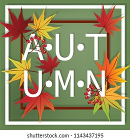 Autumn banner of autumn text with fallen maple leaves and berry branches with frame on a green background. Vector illustration.