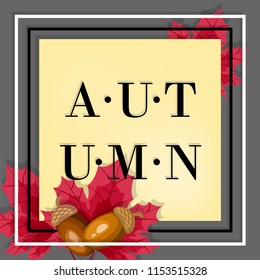 Autumn banner of Autumn text with autumn maple leaves decoration with acorns and frame on gray background. Vector illustration.