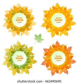 Autumn banner vector. Banners of autumn maple leaves. Template for design and paste text